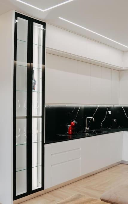 Two bedroom luxury apartment