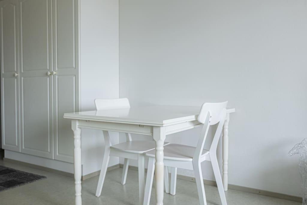 Studio apartment on Freedom street By BookLapland