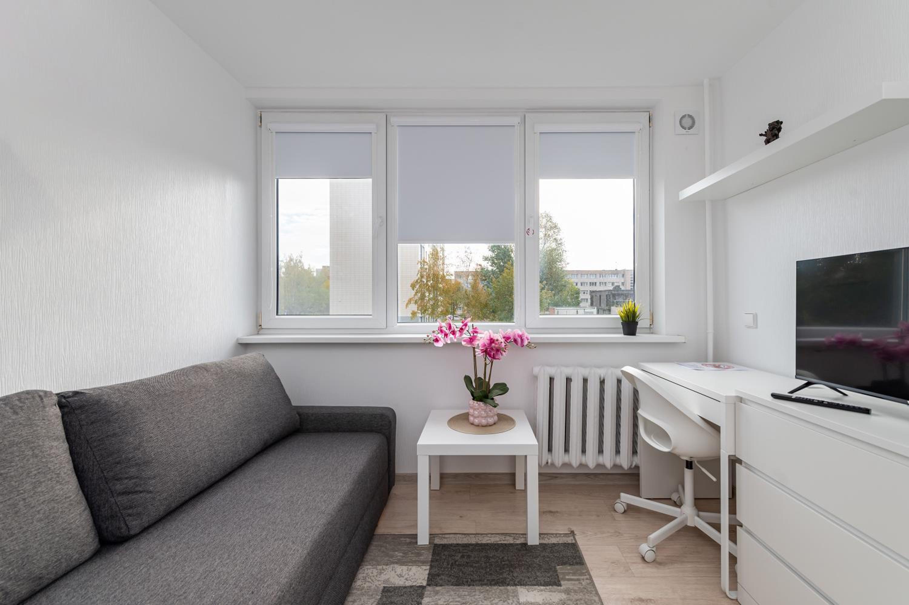Pramonės Apartment #10 by PoloApartments view 2