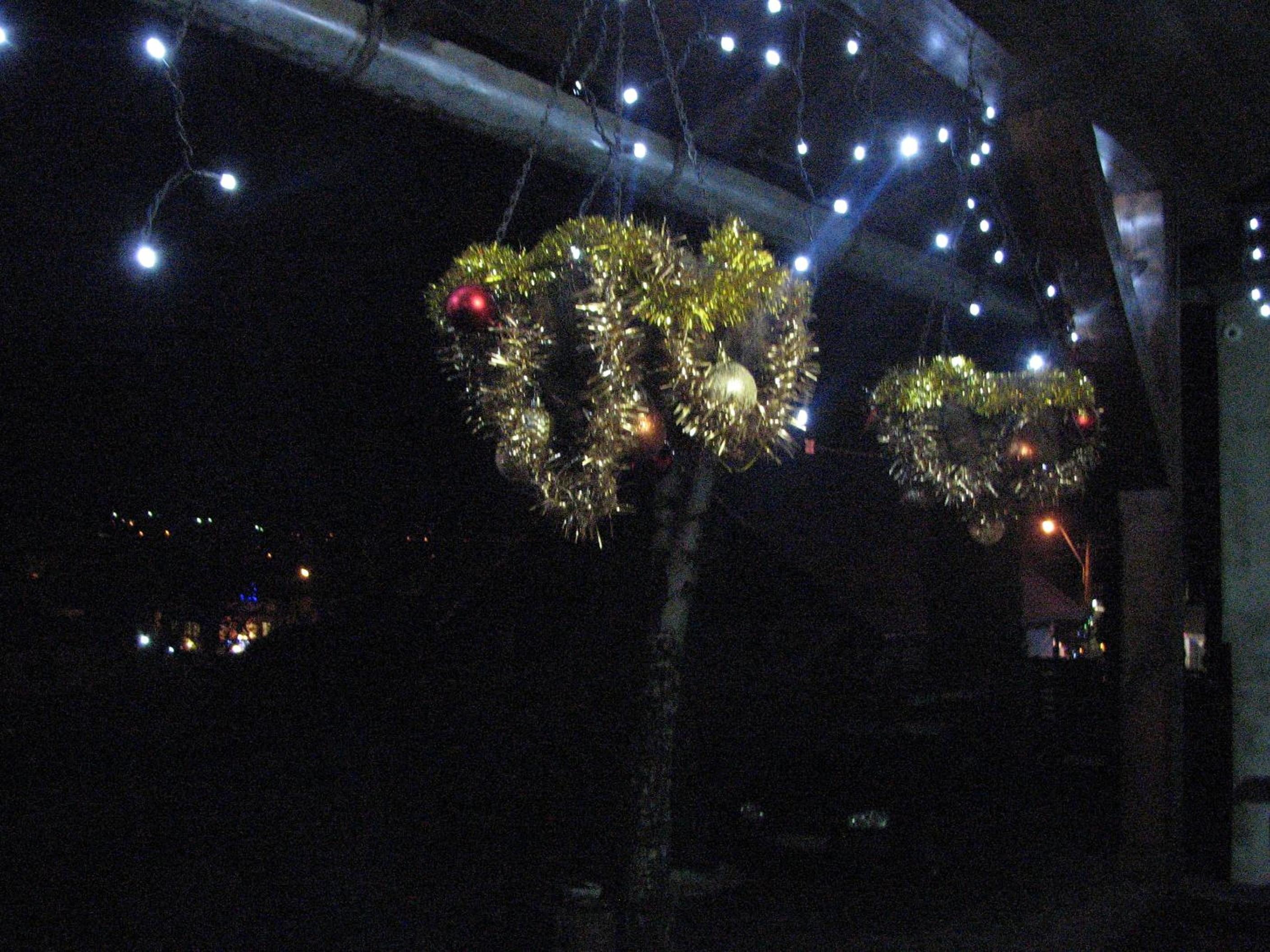 Photo 49