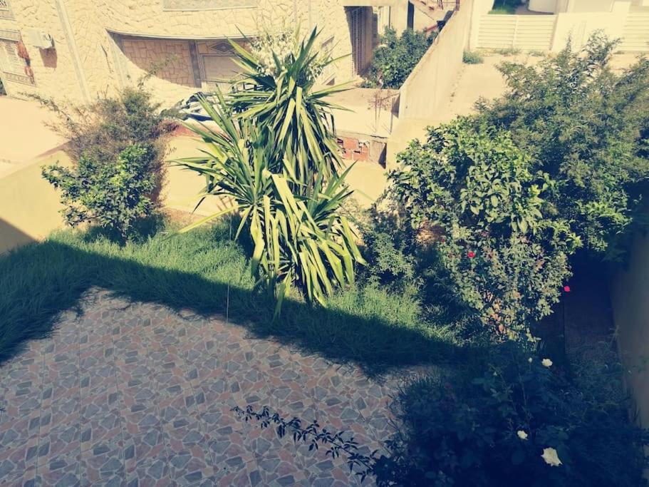 Photo 7