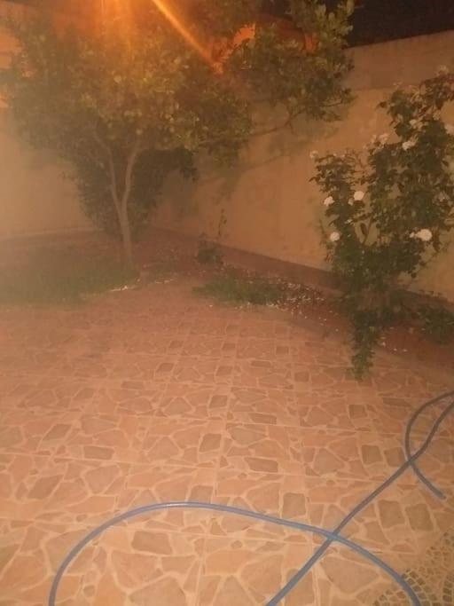 Photo 25
