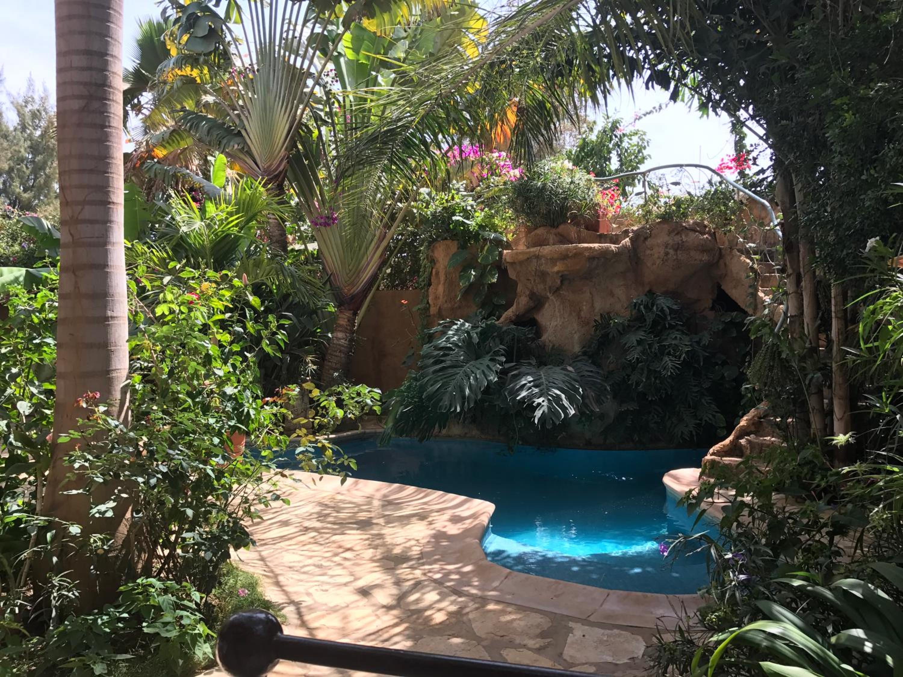 tropical oasis