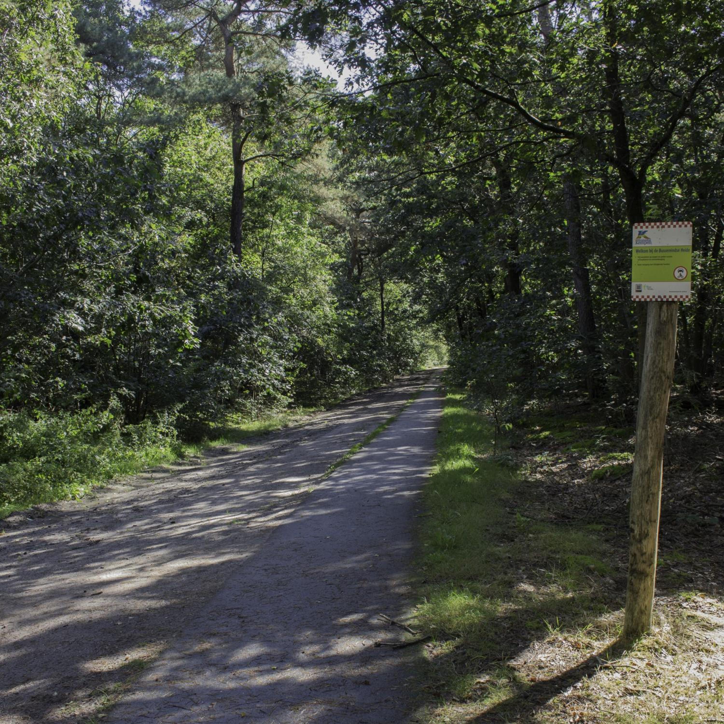 de Bosuil view 5