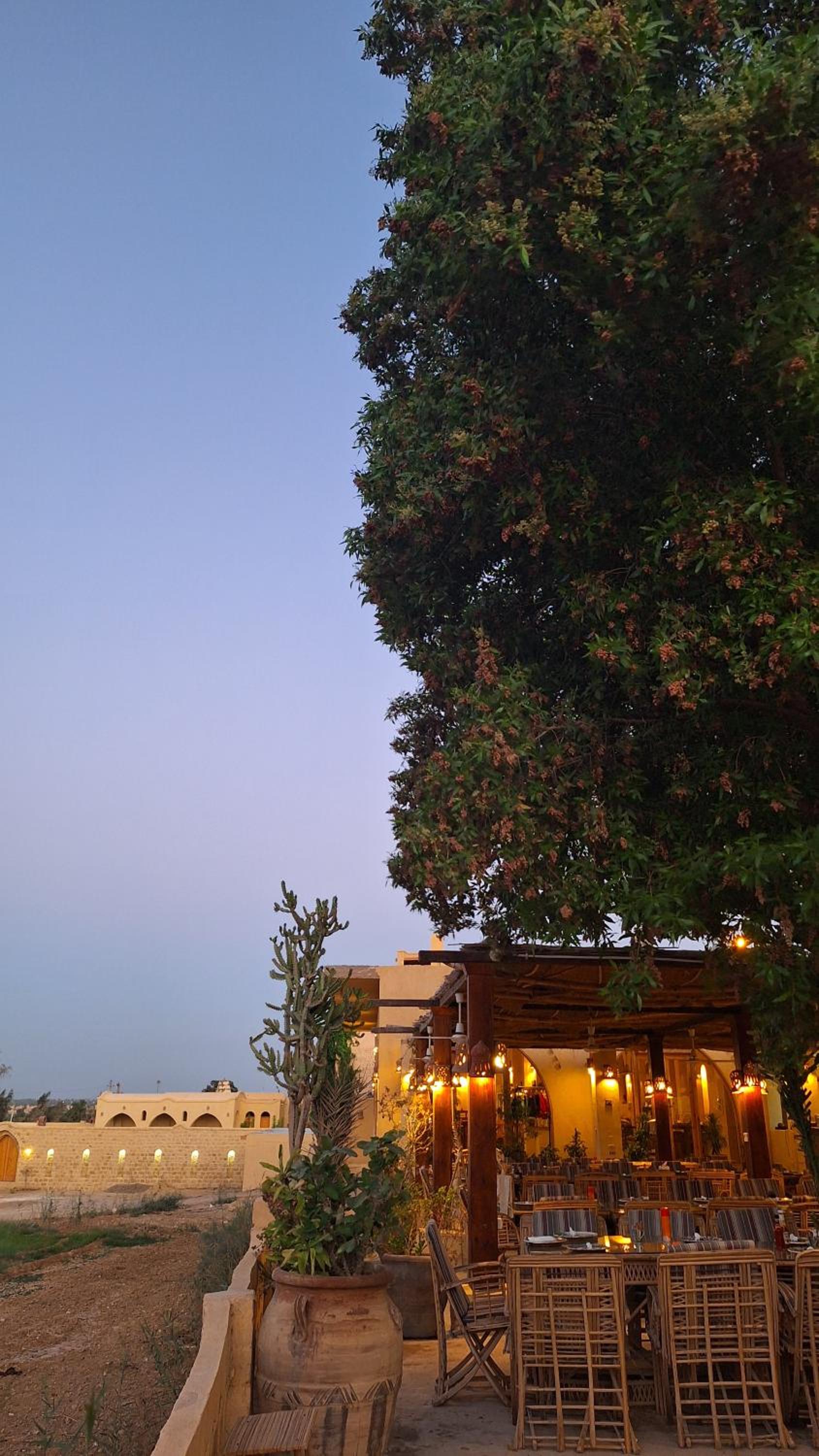 Hoopoe lodge