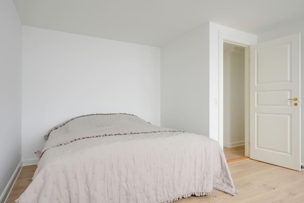 Luxury apartment in Copenhagen