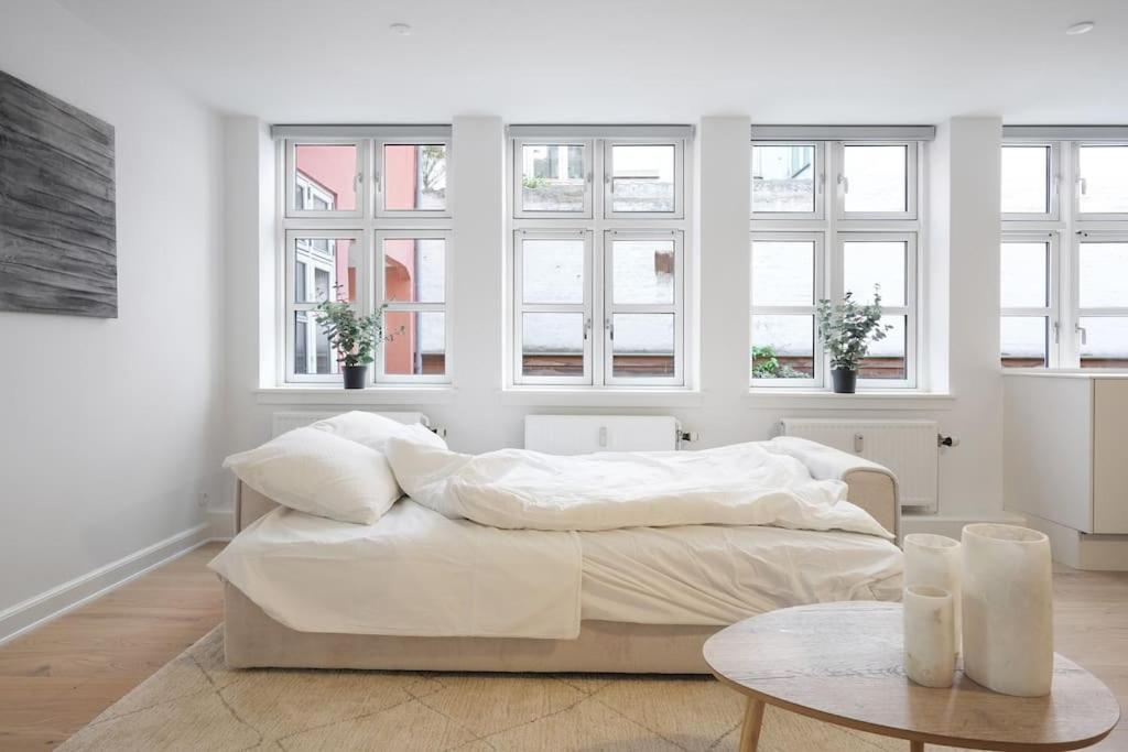 Luxury apartment in Copenhagen