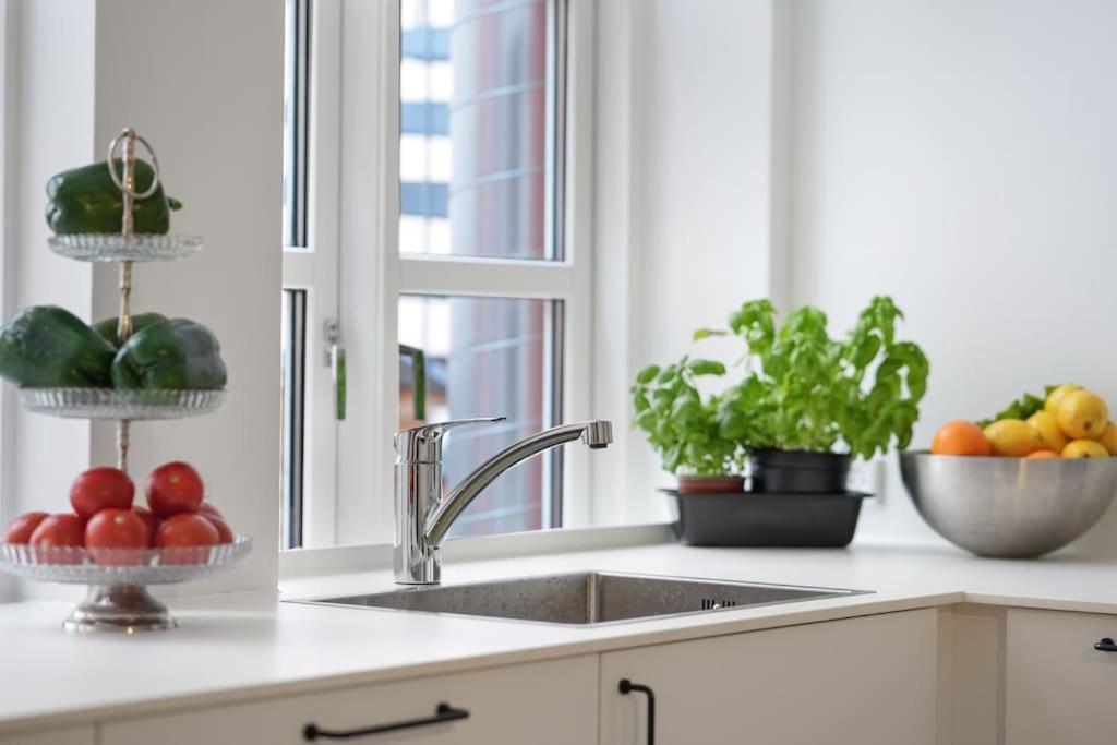 Luxury apartment in Copenhagen