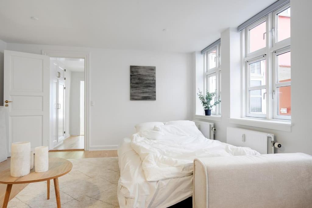 Luxury apartment in Copenhagen