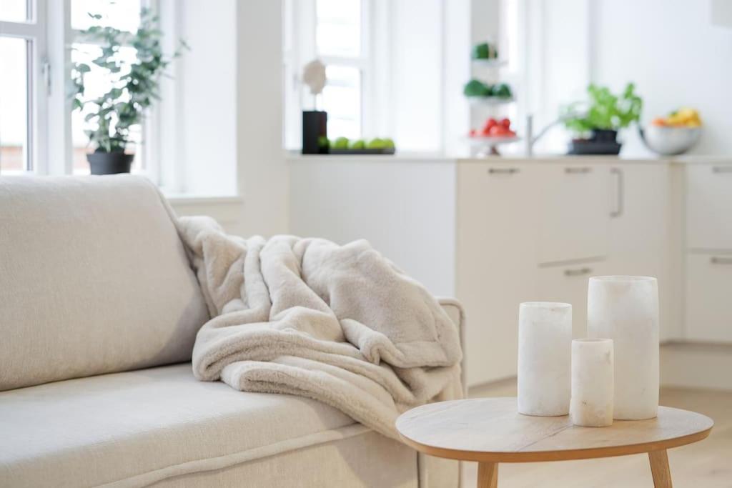 Luxury apartment in Copenhagen
