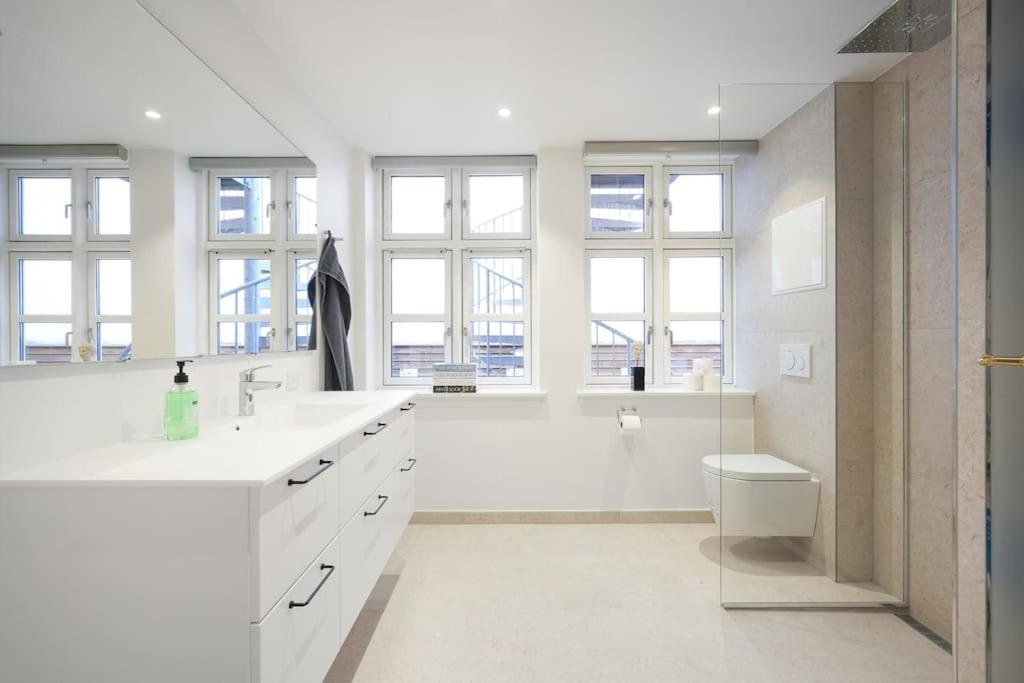 Luxury apartment in Copenhagen