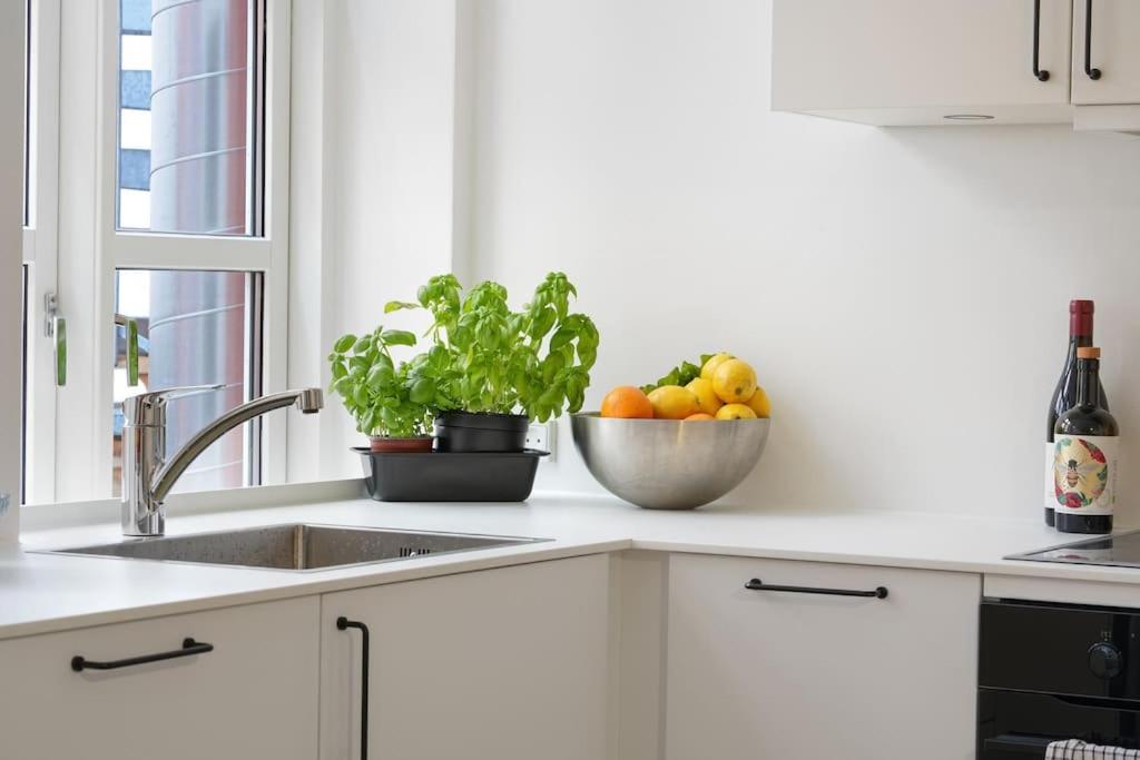 Luxury apartment in Copenhagen