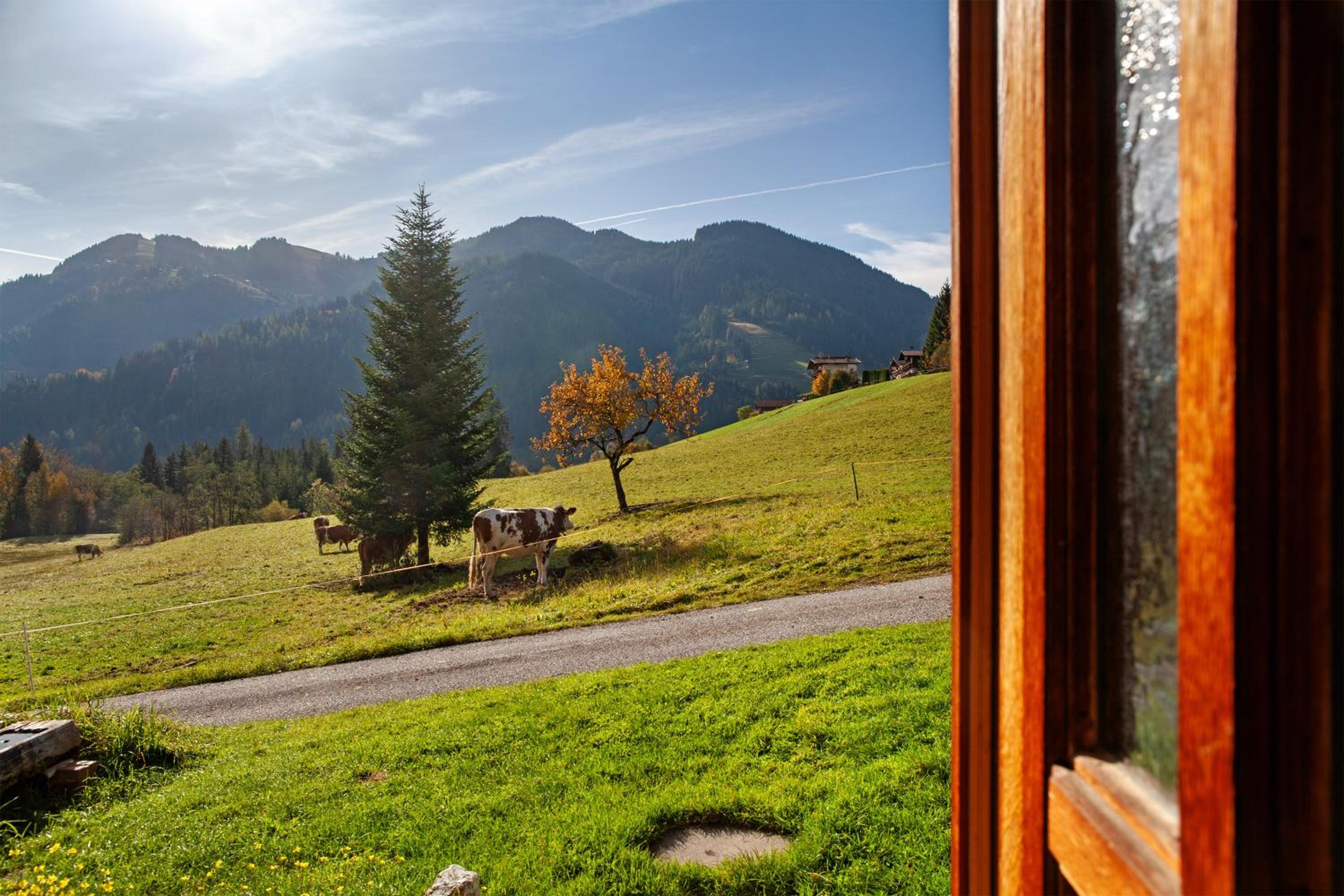 Uriges Bauernhaus Achtzehn53