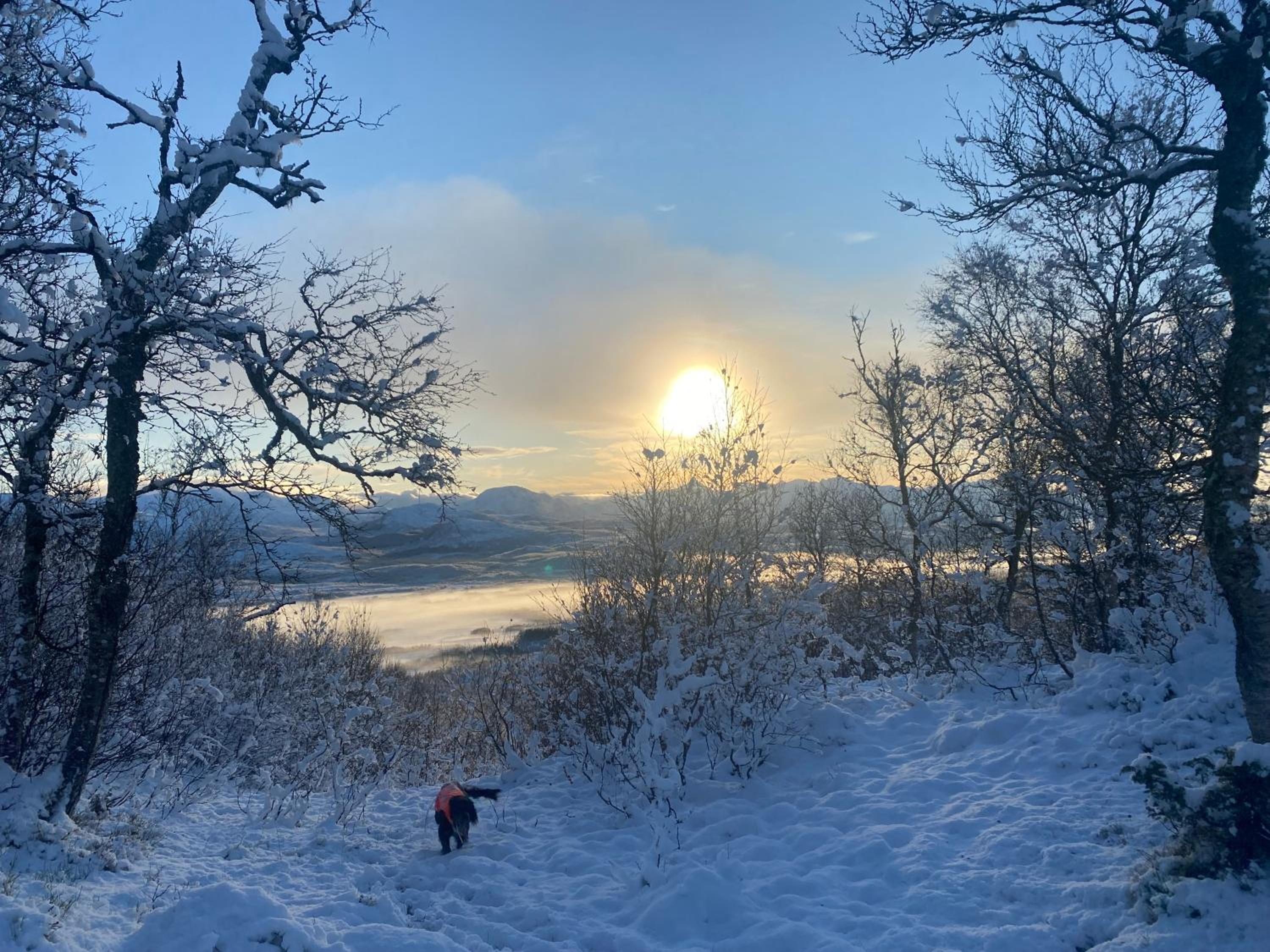 Asplund