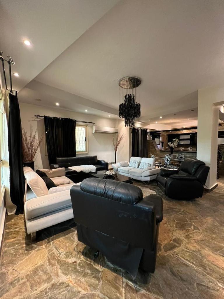 New Cairo guest house down town females only shared apartment