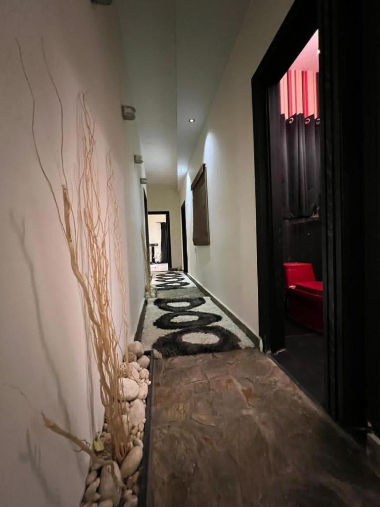 New Cairo guest house down town females only shared apartment