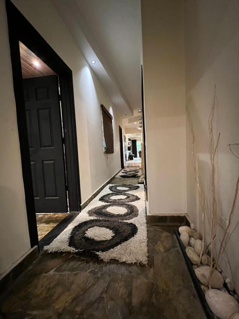 New Cairo guest house down town females only shared apartment