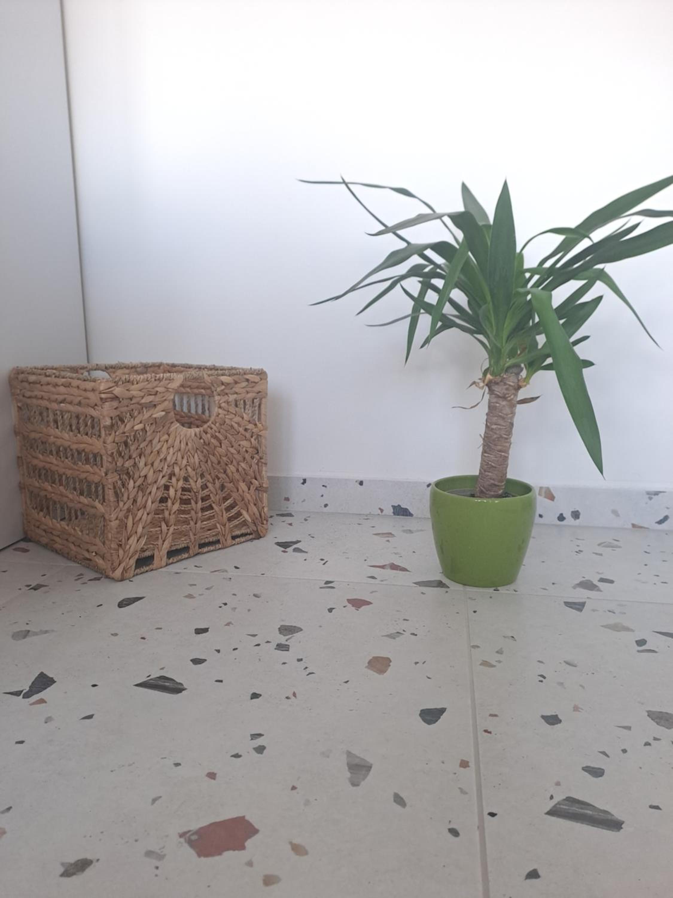 Apartment Ivon
