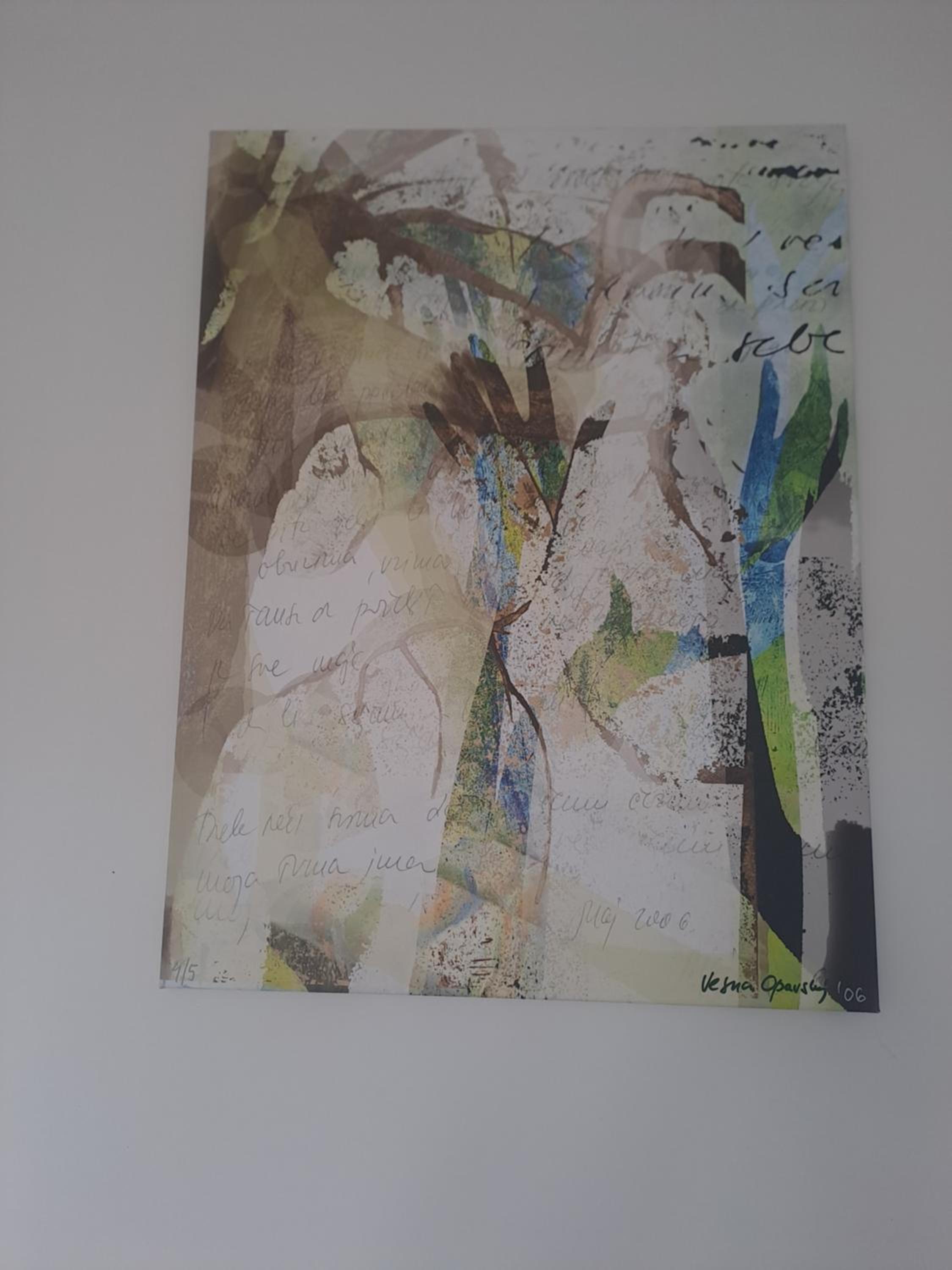 Apartment Ivon