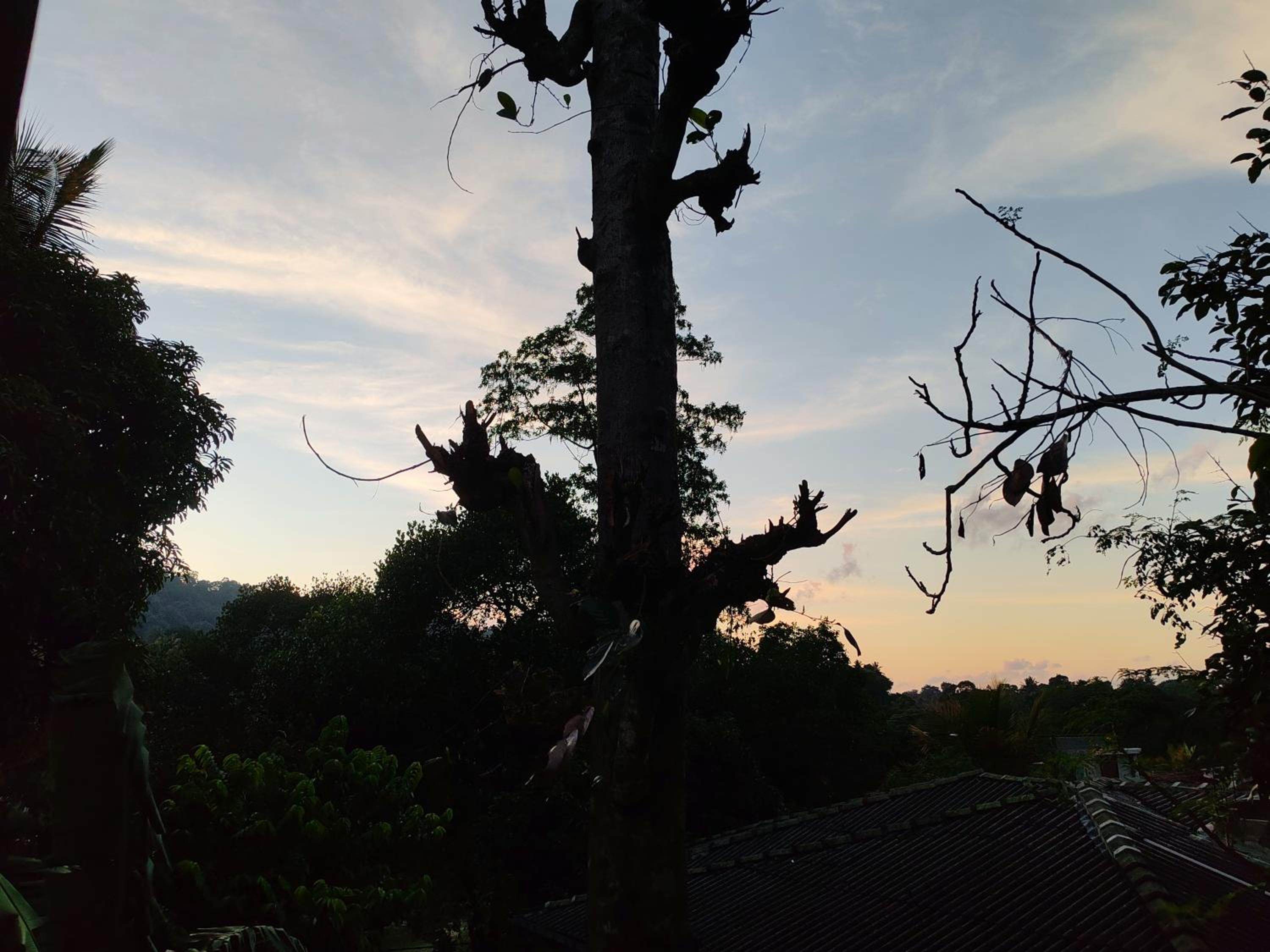 Lalanga Homestay