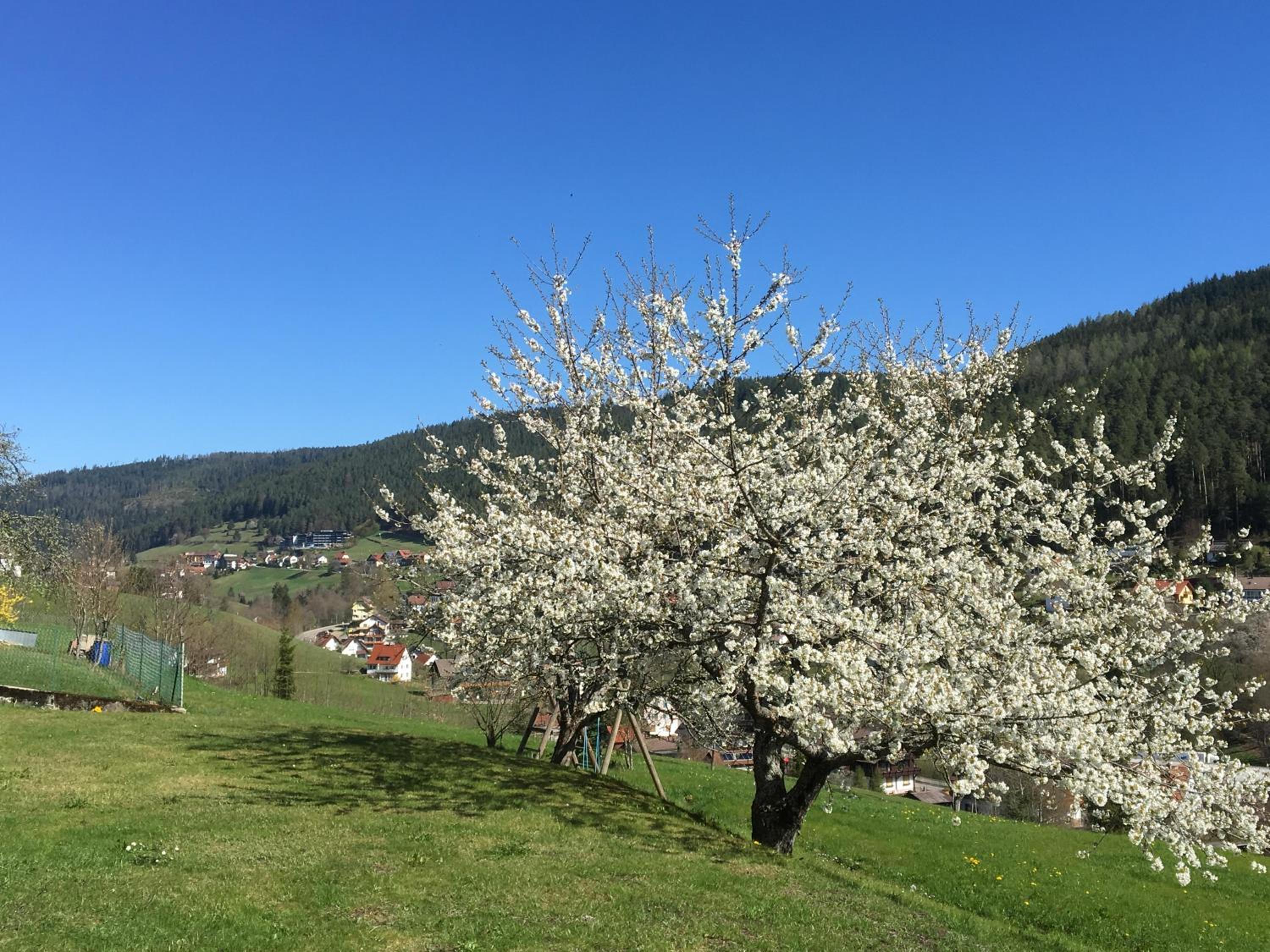 Ferienanlage Freyenhöfe
