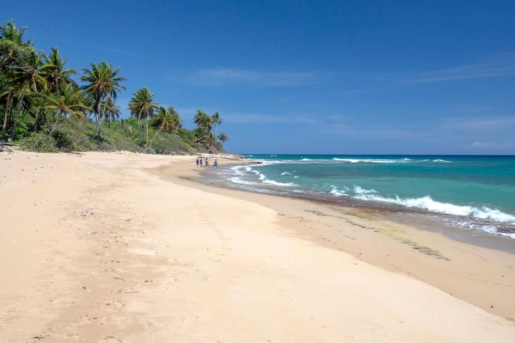 KITE BEACH HOTEL Oceanfront Apartments