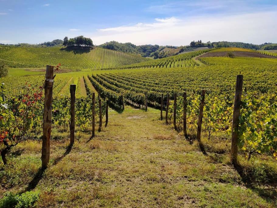 Azienda Agricola La Ghibellina