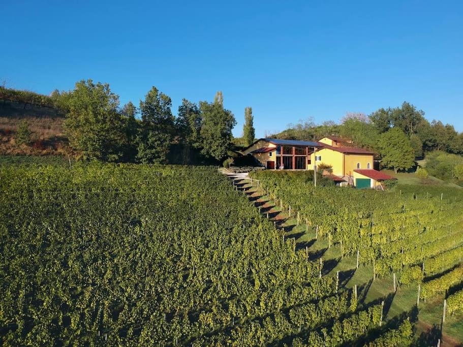 Azienda Agricola La Ghibellina
