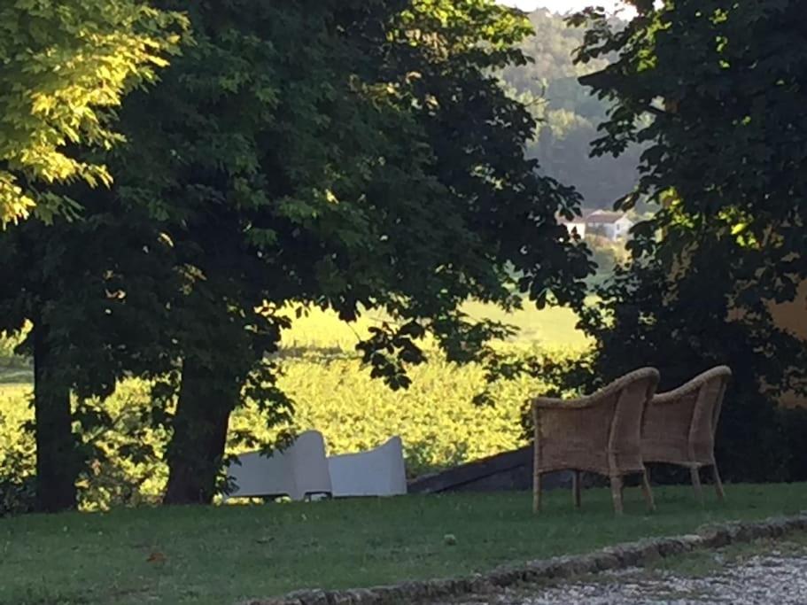 Azienda Agricola La Ghibellina