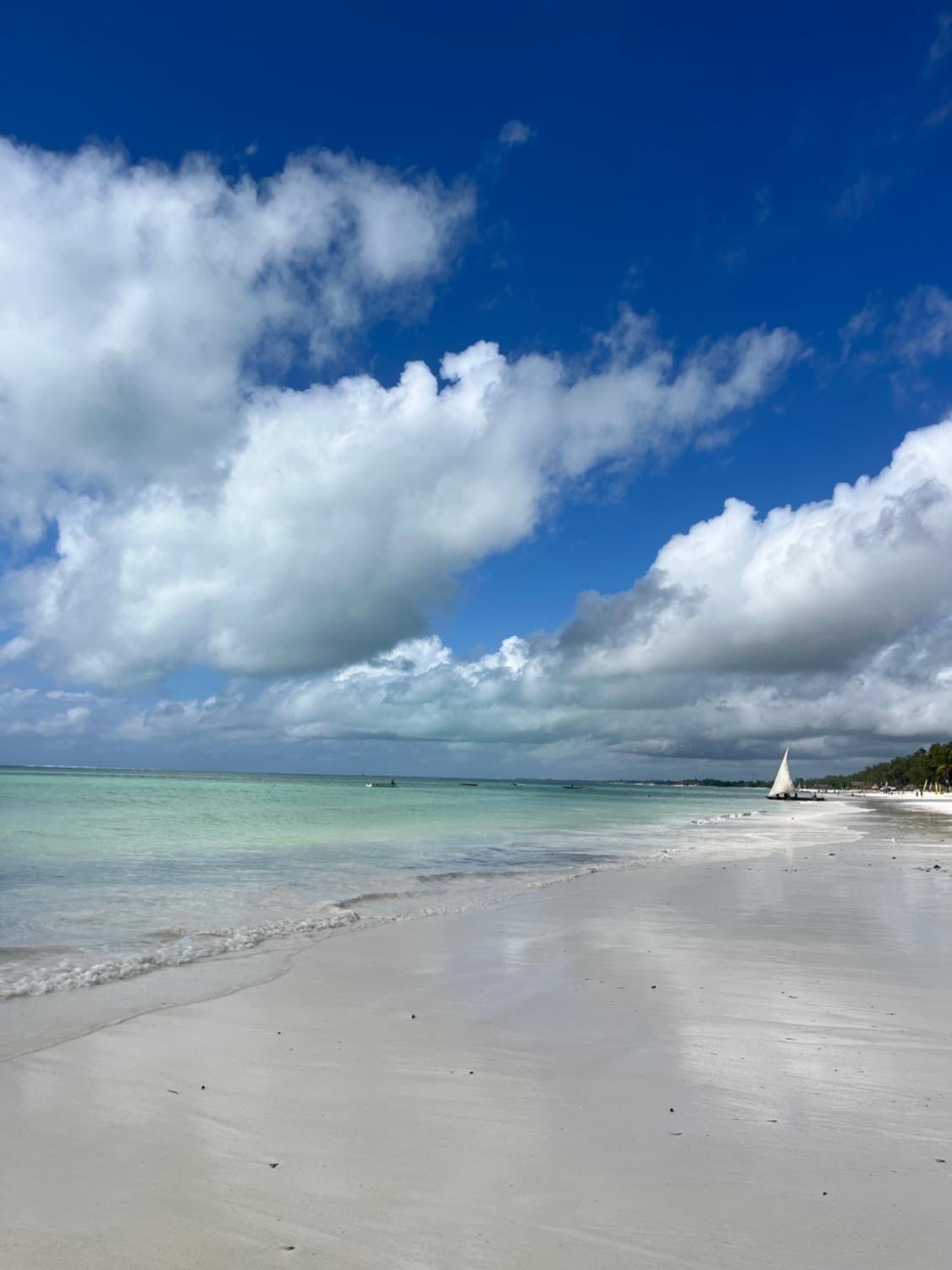 abode Zanzibar