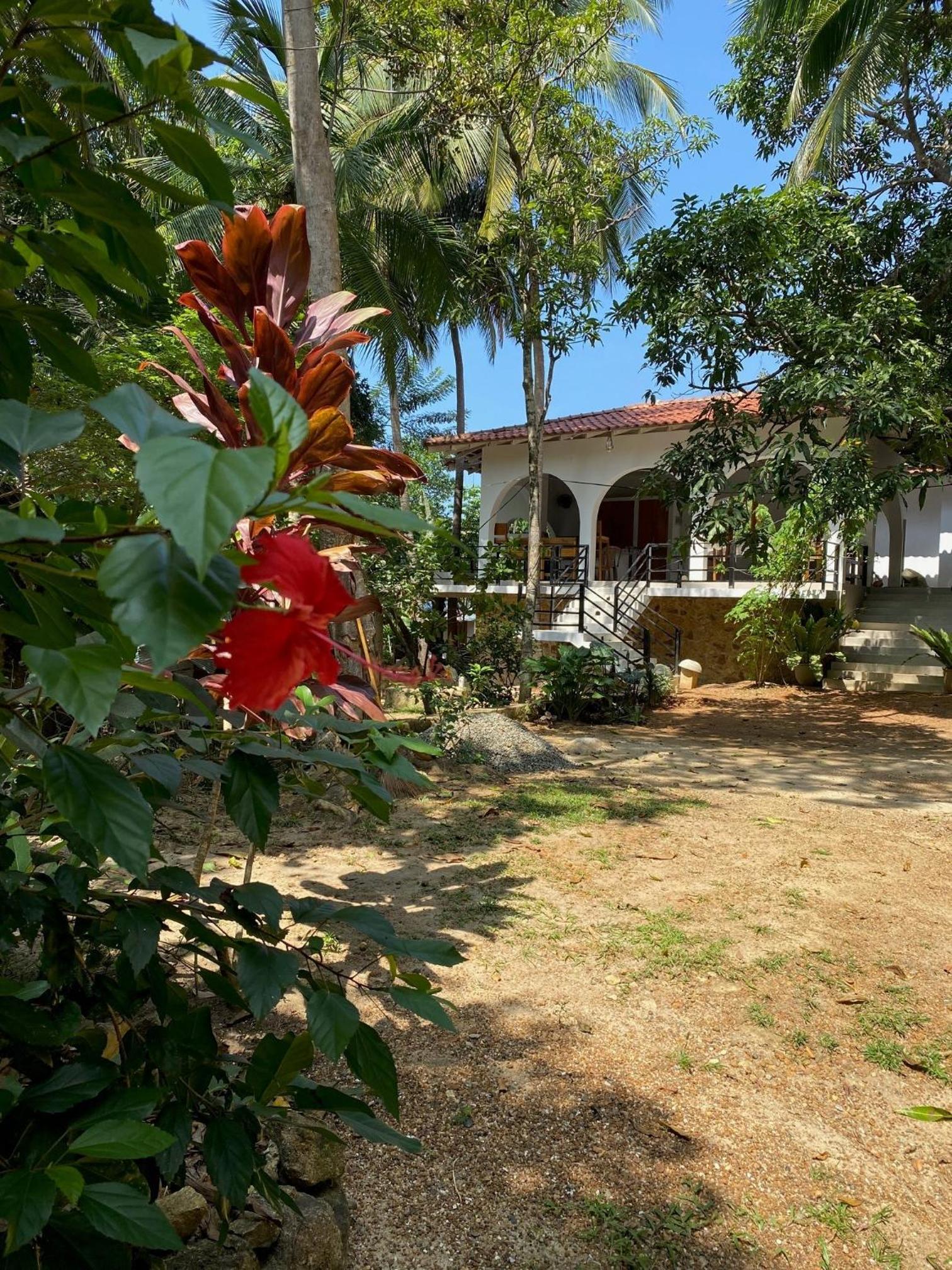 Photo 28