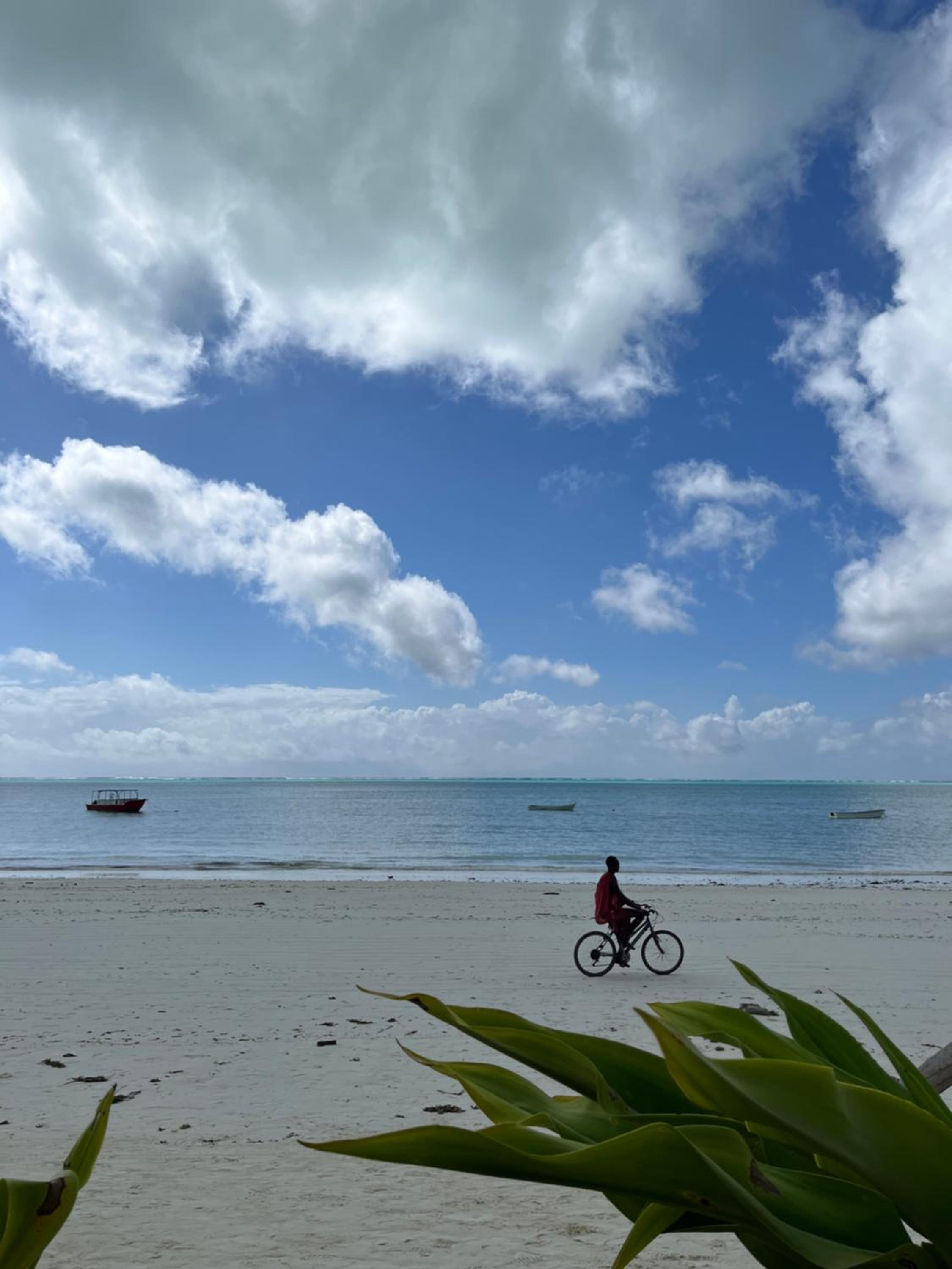 abode Zanzibar