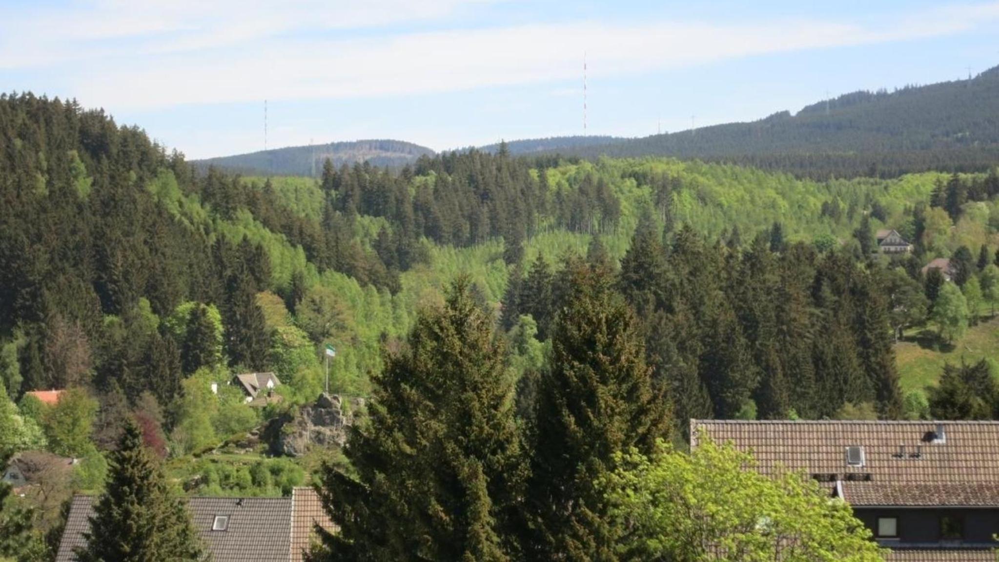 Ferienwohnung Harz