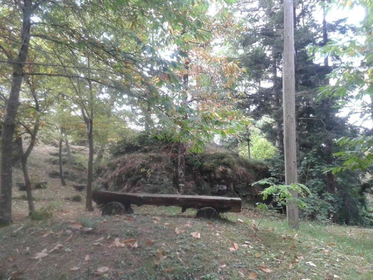 Villa im Park für Gruppen und Familien