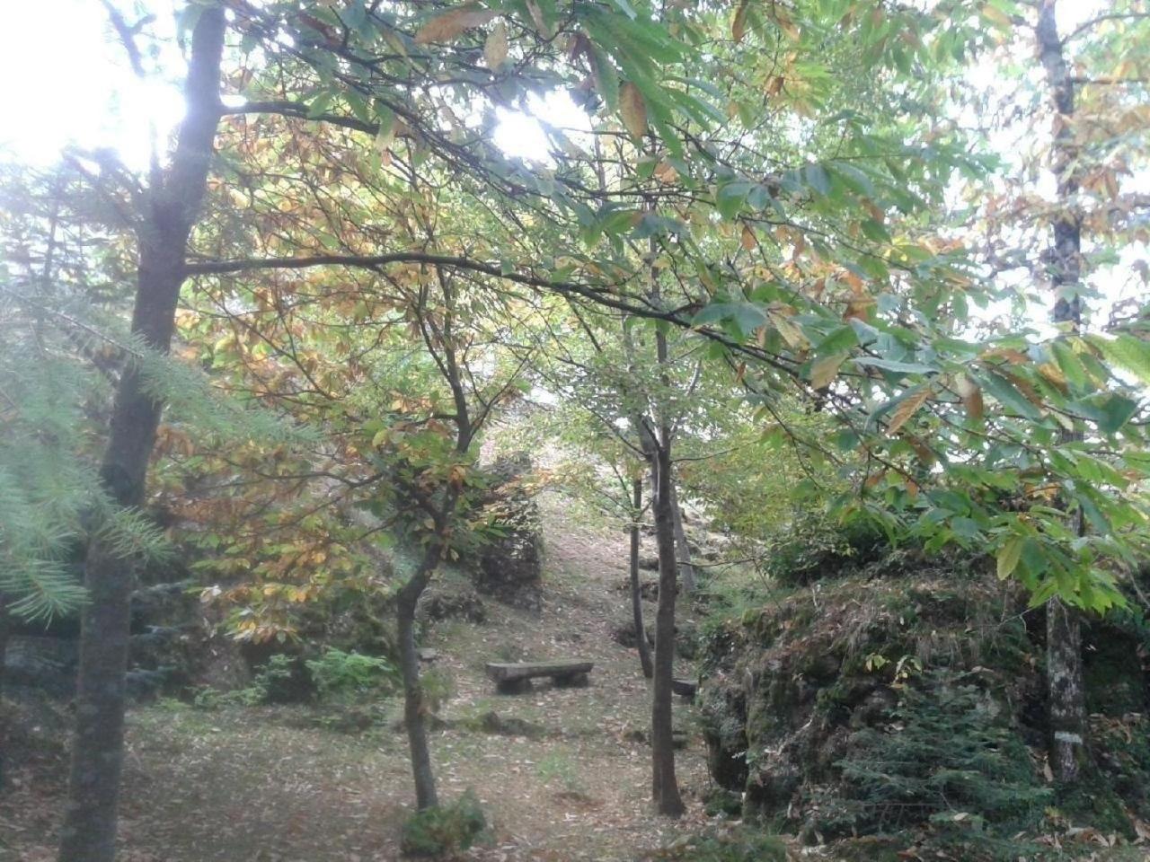 Villa im Park für Gruppen und Familien