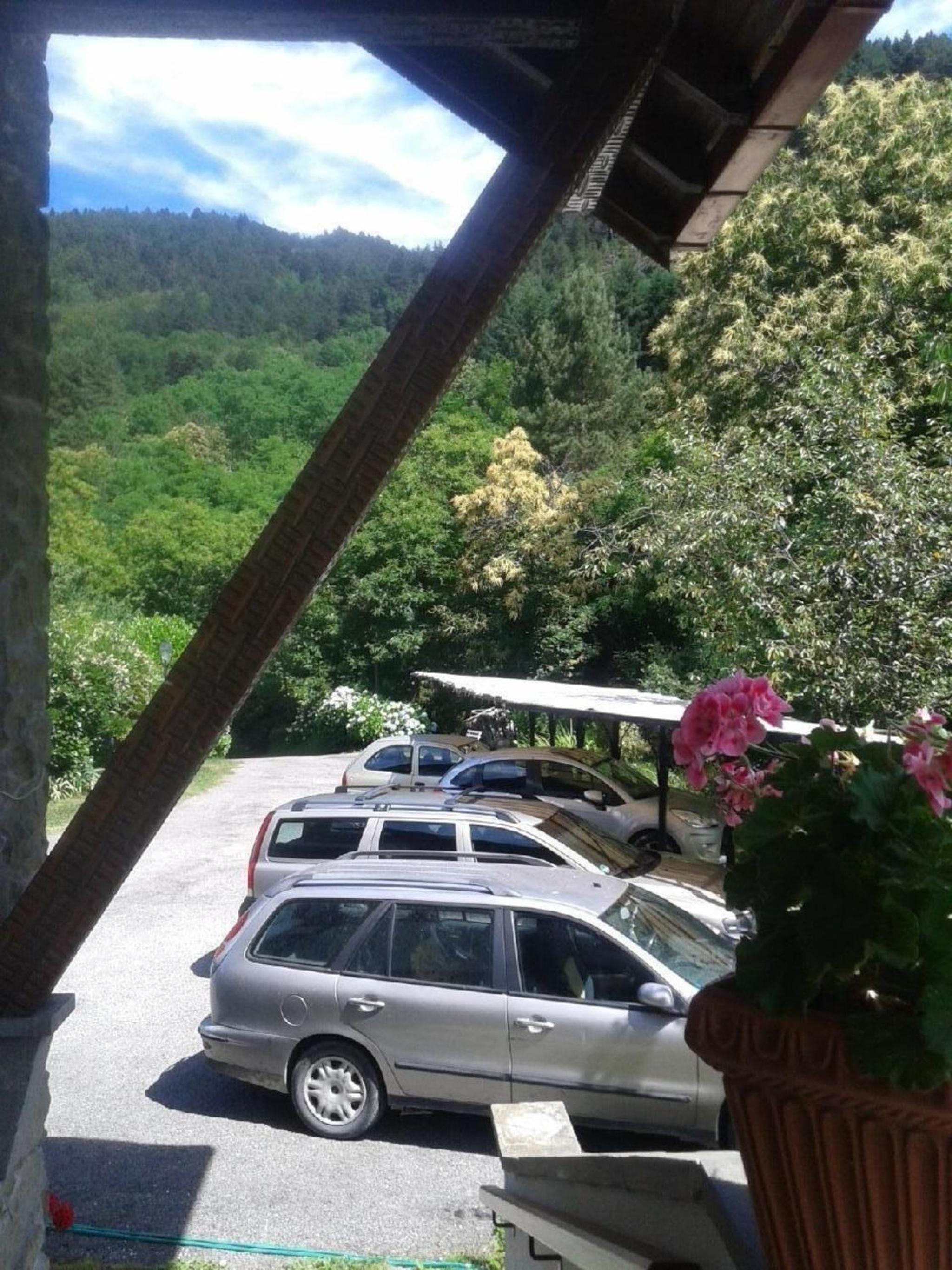 Villa im Park für Gruppen und Familien