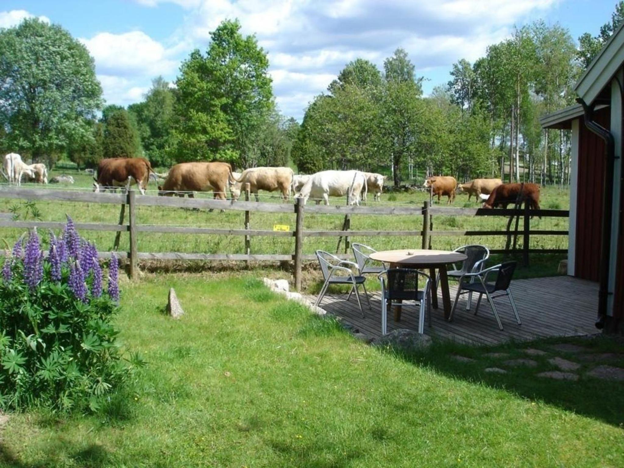 Ferienhaus Nymåla
