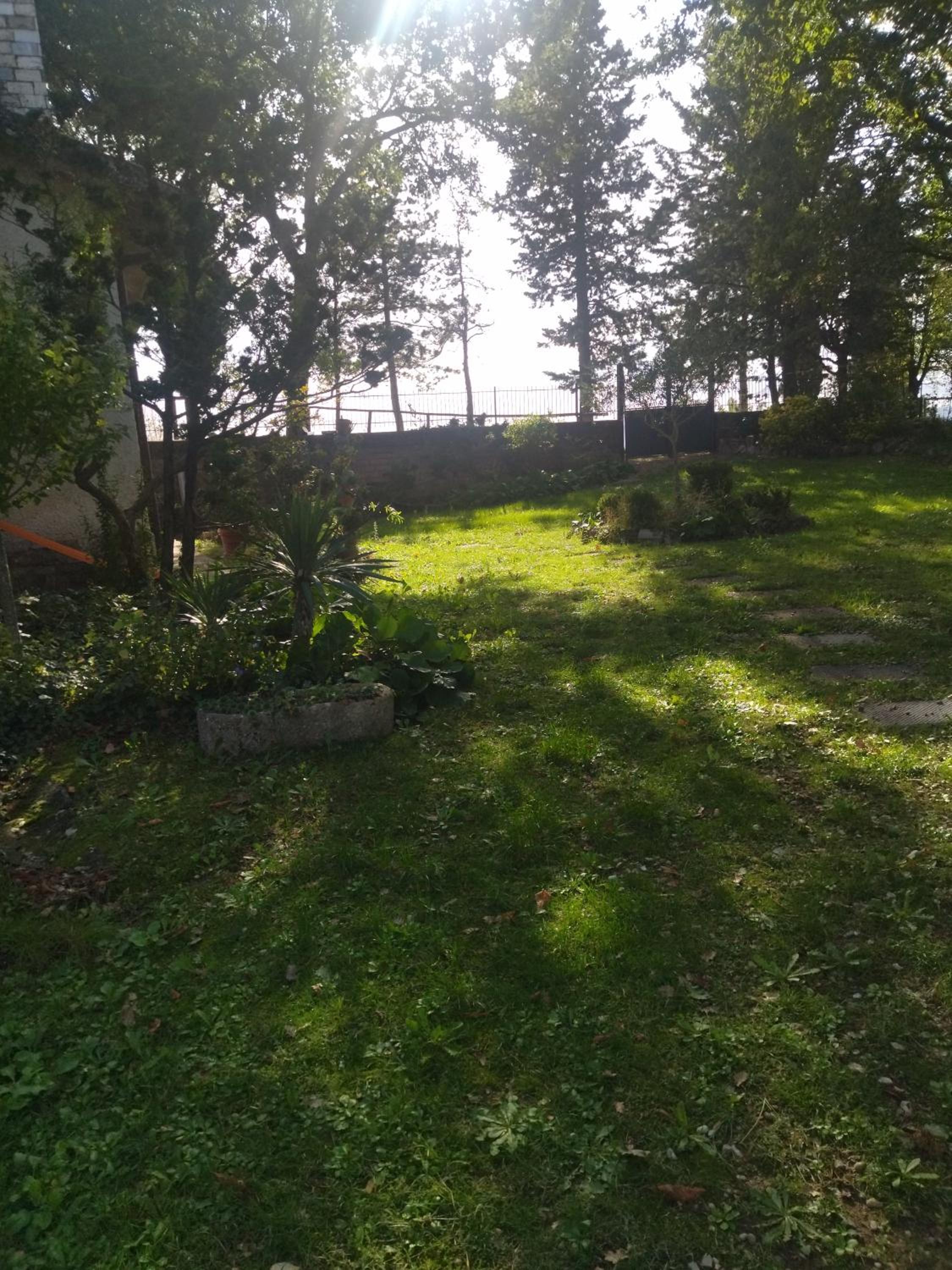 Photo 31