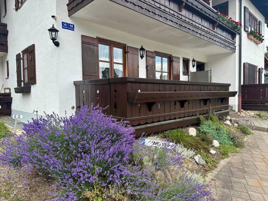 FeWo Platzhirsch mit Bergblick