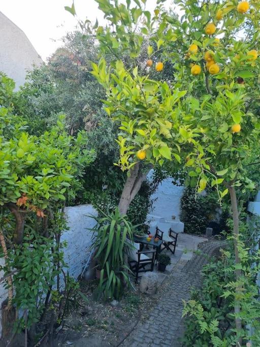Lemon Tree House with garden in Plaka