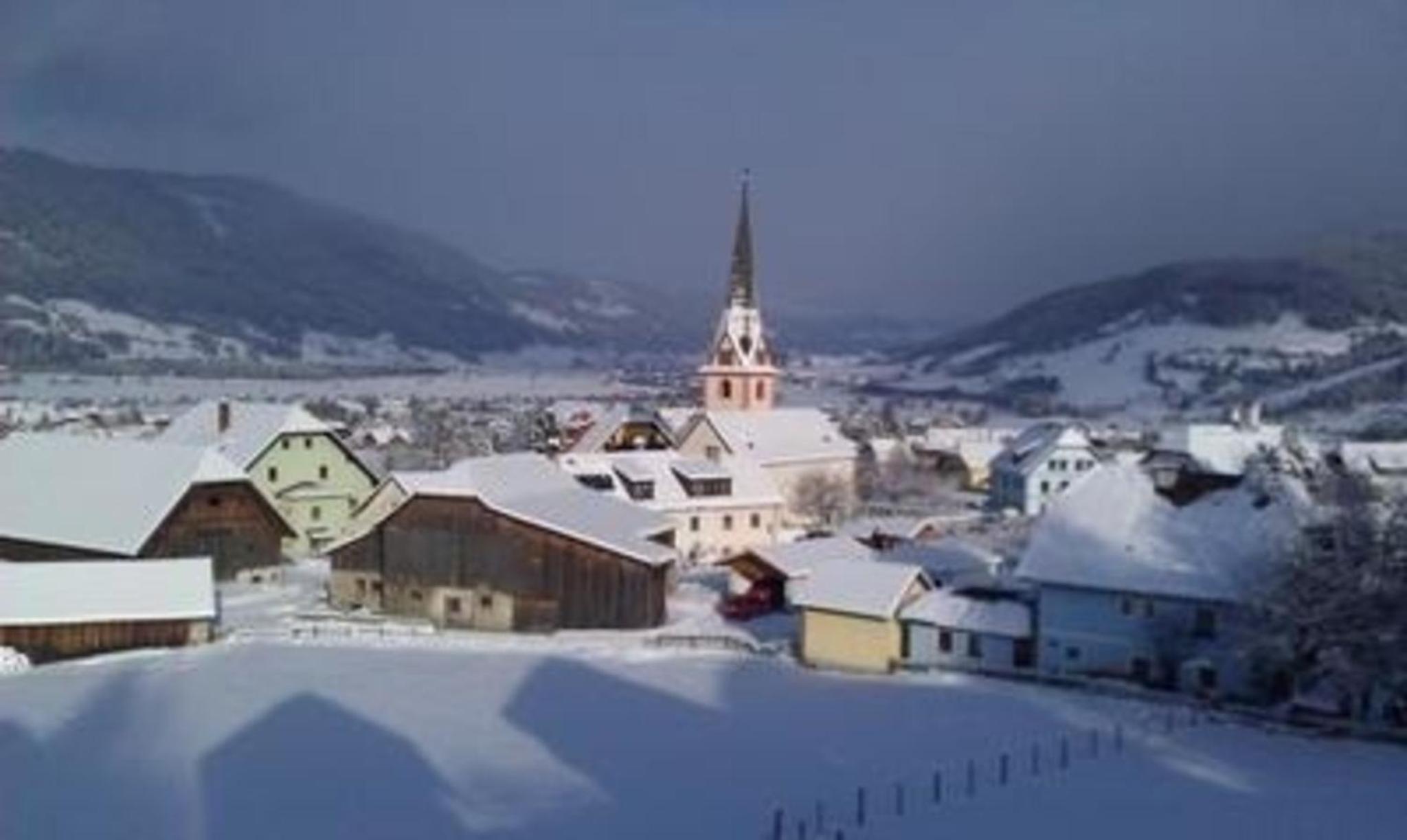 Komfortables Ferienhaus in Sankt Margarethen Im Lungau mit Eigener Sauna - b51866
