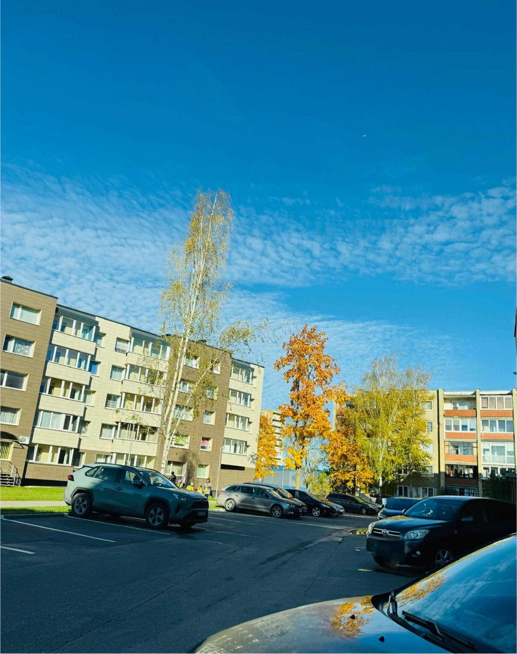 Taikos apartamentas