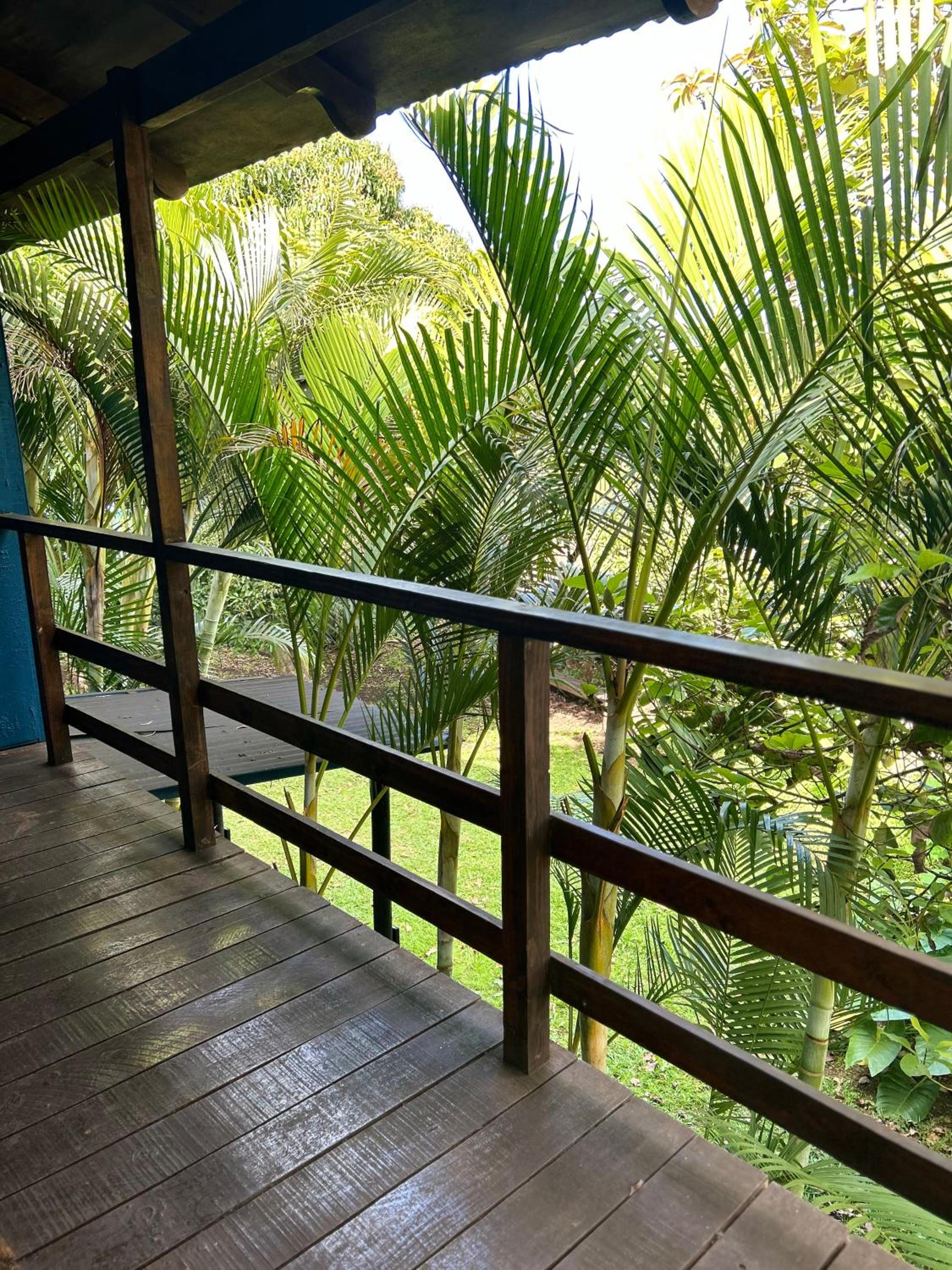 Cabañas Mahatua