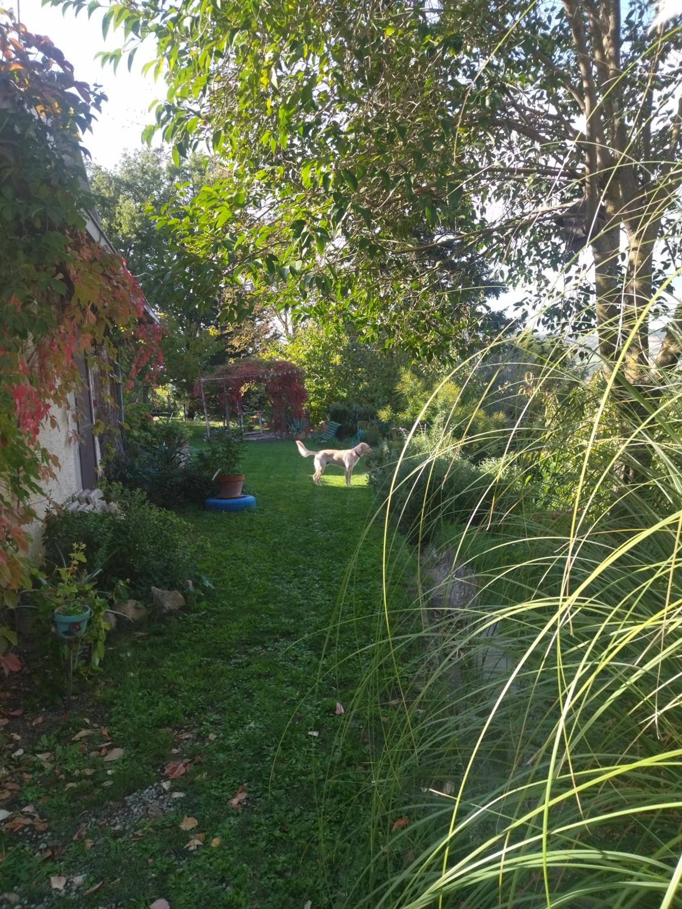 Photo 32