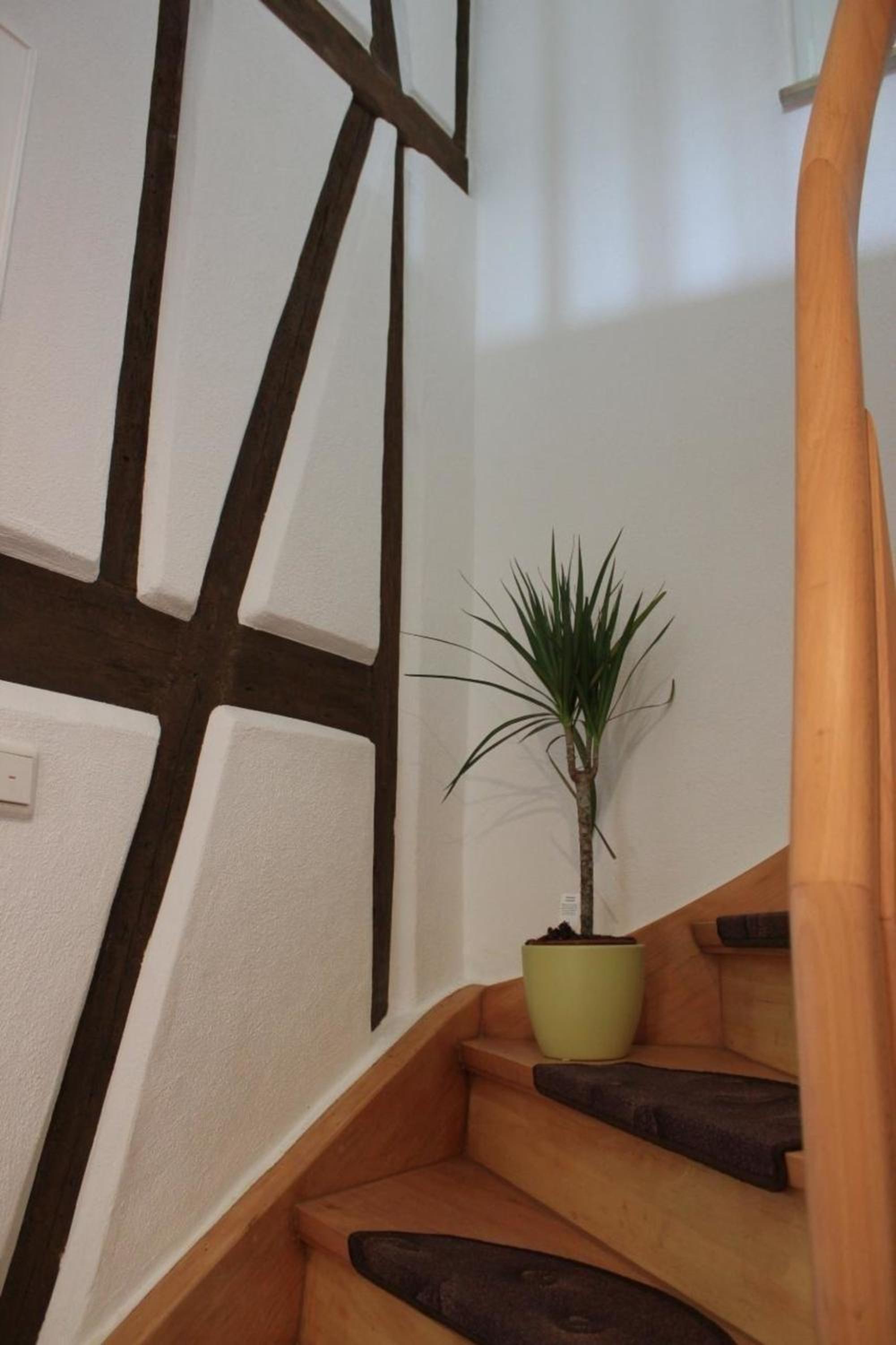 Ferienhaus am Bach