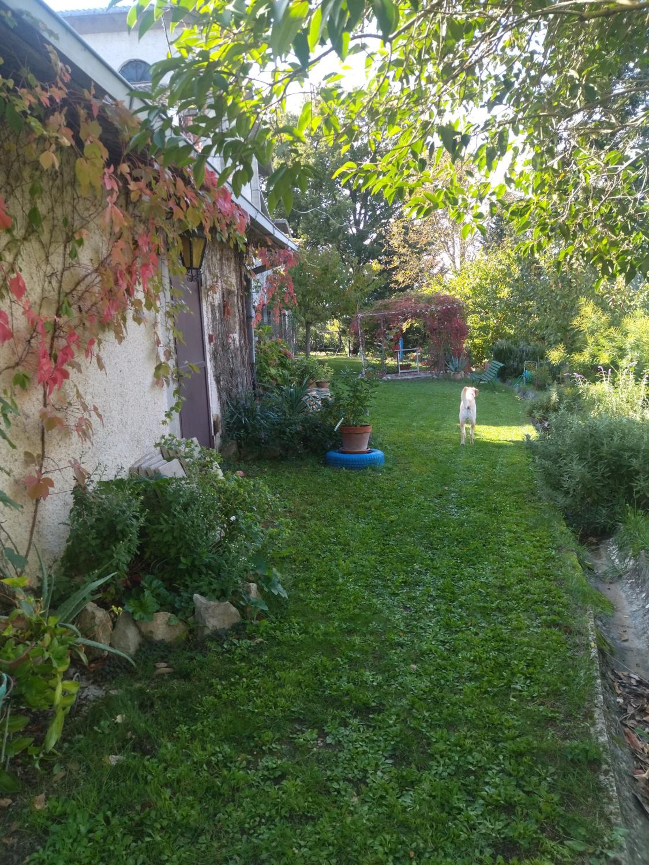 Photo 33