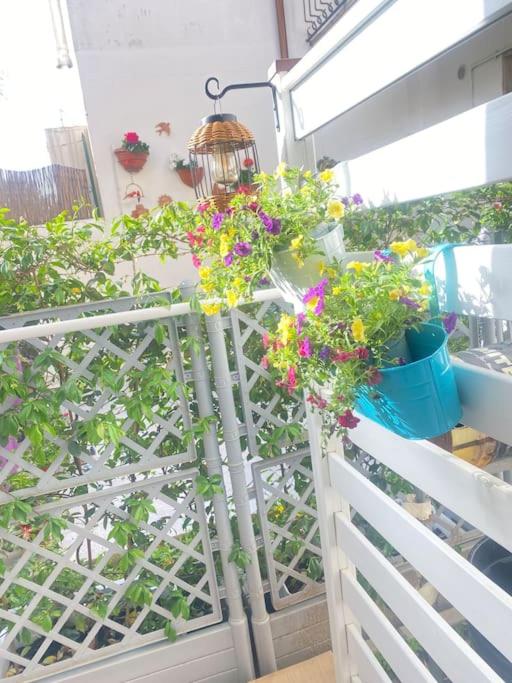 La Casa di Francy view 5