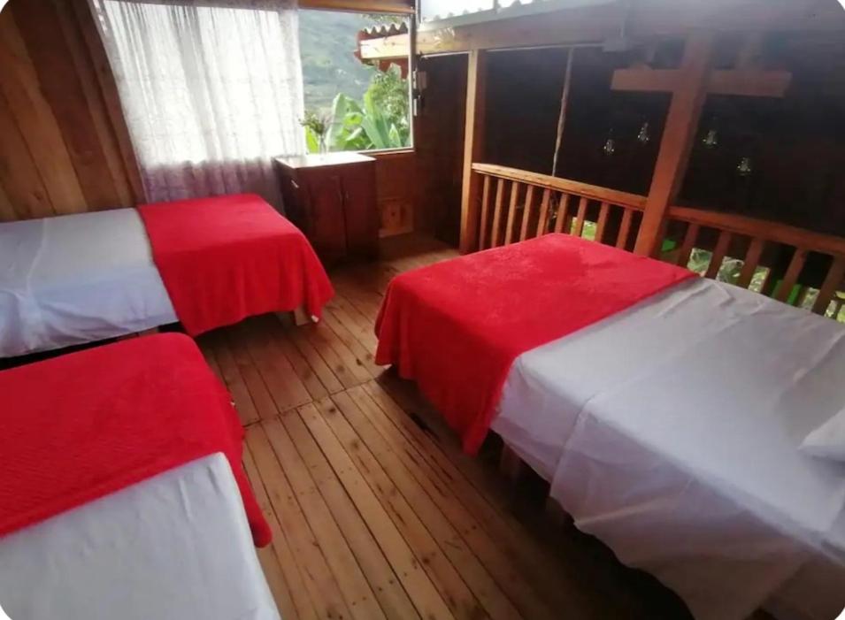 Cabañas Lucerito Colibrí