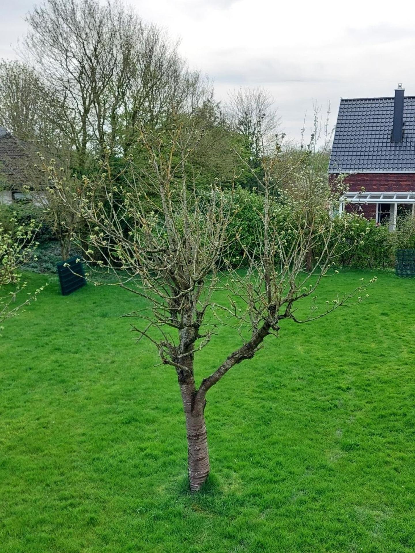 Ferienwohnung Mastkorb Mit Grill Und Garten