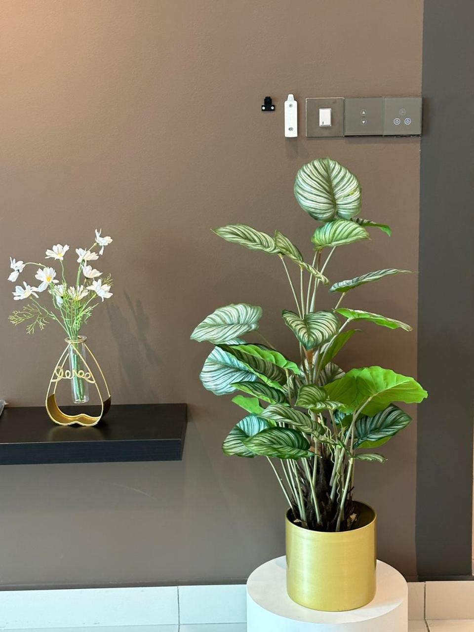 Green Haven 3 Bedroom